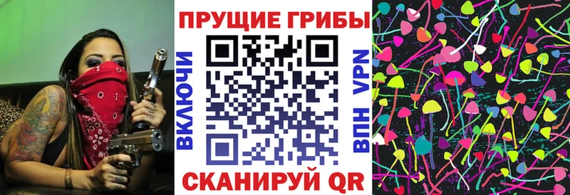 Галлюциногенные грибы Psilocybine cubensis  Починок 